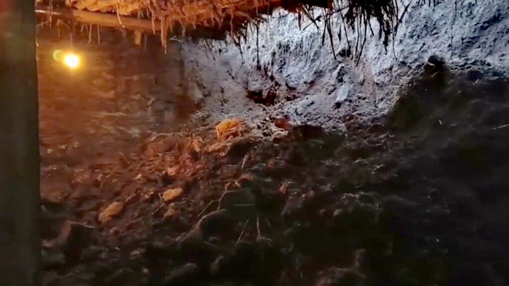 Doğubayazıt’ta ahır çöktü! – Birlik Haber Ajansı