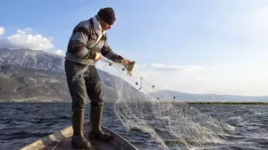 Palamut ve hamside rekor sezon: Bakan Yumaklı açıkladı – Birlik Haber Ajansı