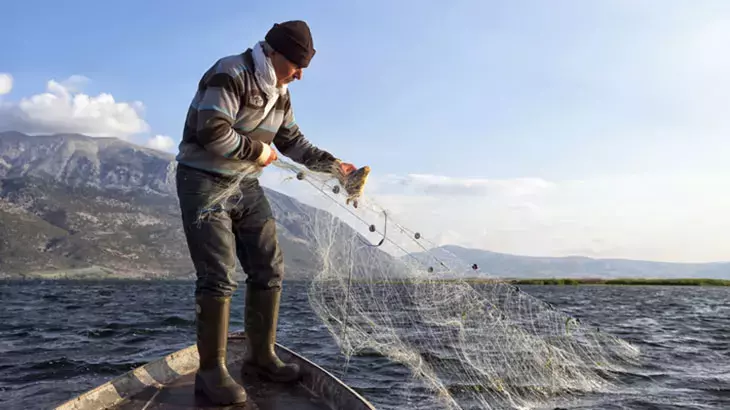 Palamut ve hamside rekor sezon: Bakan Yumaklı açıkladı – Birlik Haber Ajansı