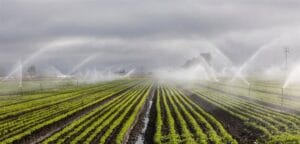 DSİ’den Yapay Zeka Destekli Sulama – Birlik Haber Ajansı