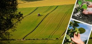 Çiftçilere Bakanlıktan Müjde – Birlik Haber Ajansı