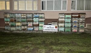 Arı kovanı hırsızları Jandarma ekiplerince yakalandı – Birlik Haber Ajansı