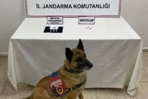 Kars’ta şok uygulamada bir araçta uyuşturucu ele geçirildi – Birlik Haber Ajansı