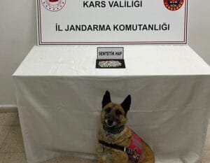 Kars’ta “Tabla” narkotik köpeği yine geçit vermedi – Birlik Haber Ajansı