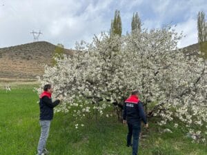 Zirai Don Tehlikesine karşı çiftçileri uyarı – Birlik Haber Ajansı