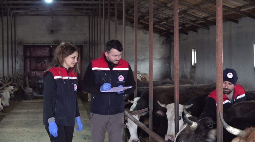 Kars’ta aşılama çalışmaları aralıksız sürüyor – Birlik Haber Ajansı