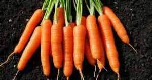 Beypazarı, verimli topraklarıyla Türkiye’nin en kaliteli havuçlarını yetiştiriyor! – Birlik Haber Ajansı