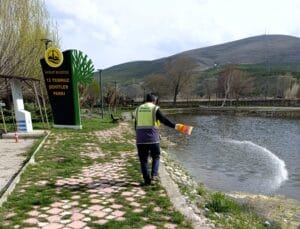 Bayburt'ta larvalarla mücadele başladı