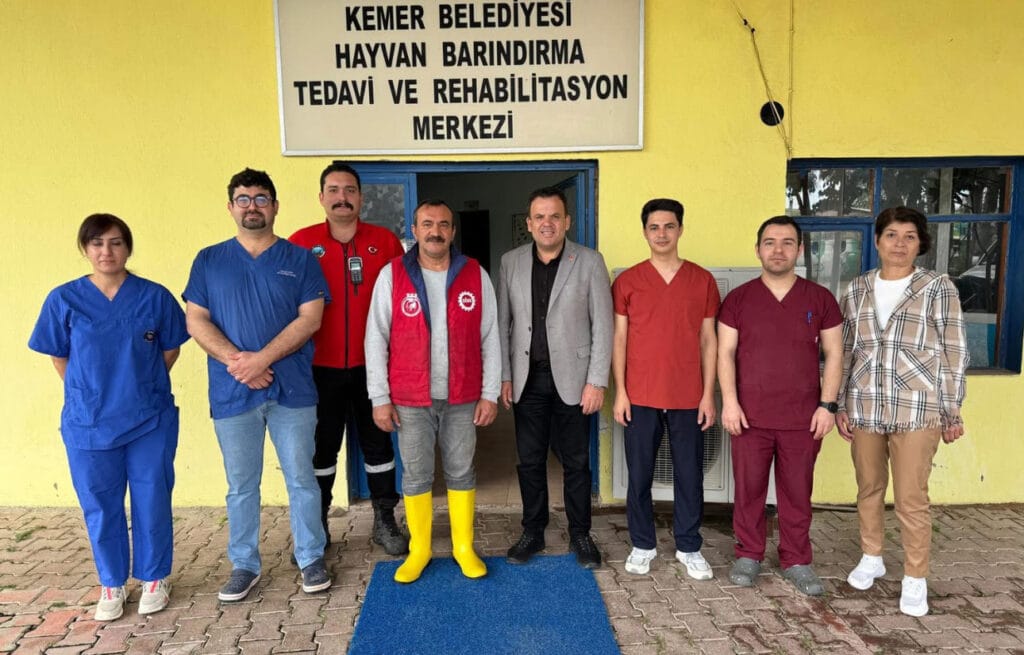 Kemer’de 4 Nisan’da sokak hayvanlarına destek: Satın alma, sahiplen! – Birlik Haber Ajansı