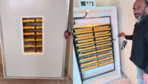 Isparta’da yaşayan Gökhan Toprak’a yumurtanı getir, civcivini götür – Birlik Haber Ajansı