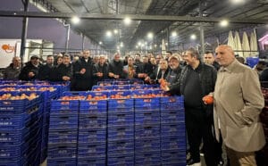 Antalya ihracatında tarım rüzgarı! İlk çeyrekte yüzde 3,1 artışla 566 milyon dolar gelir! – Birlik Haber Ajansı