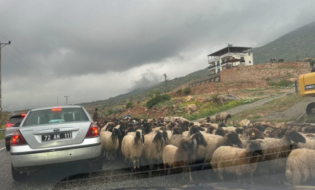 Batman’da renkli yörük göçü manzaraları – Birlik Haber Ajansı