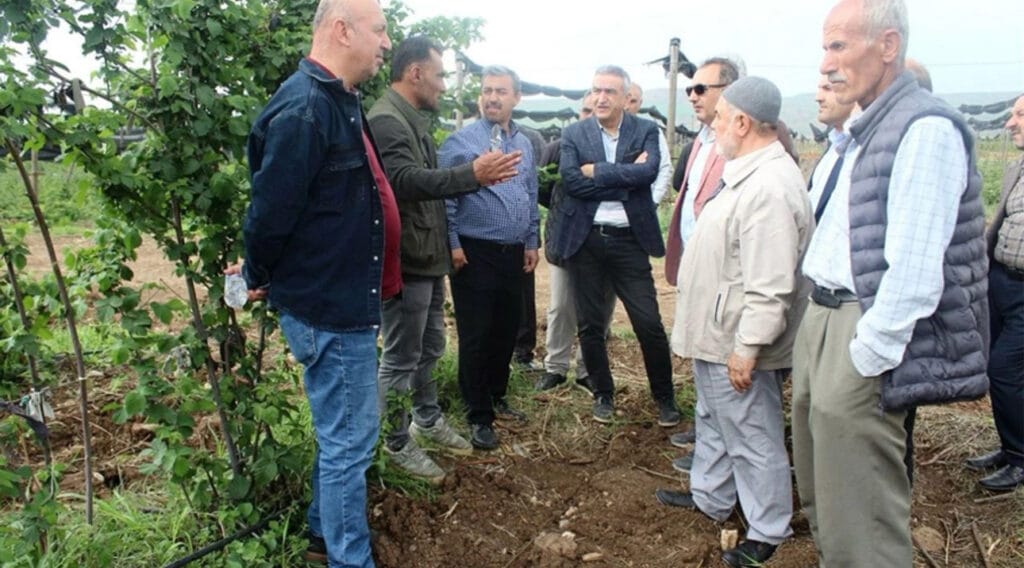 Batman’da böğürtlen yetiştiriciliğine ilgi artıyor – Birlik Haber Ajansı