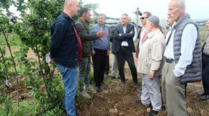 Batman’da böğürtlen yetiştiriciliğine ilgi artıyor – Birlik Haber Ajansı