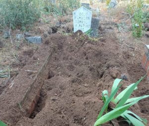 Antalya’da yaban domuzları mezarlığa zarar verdi: Mahalle sakinlerinden önlem talebi – Birlik Haber Ajansı