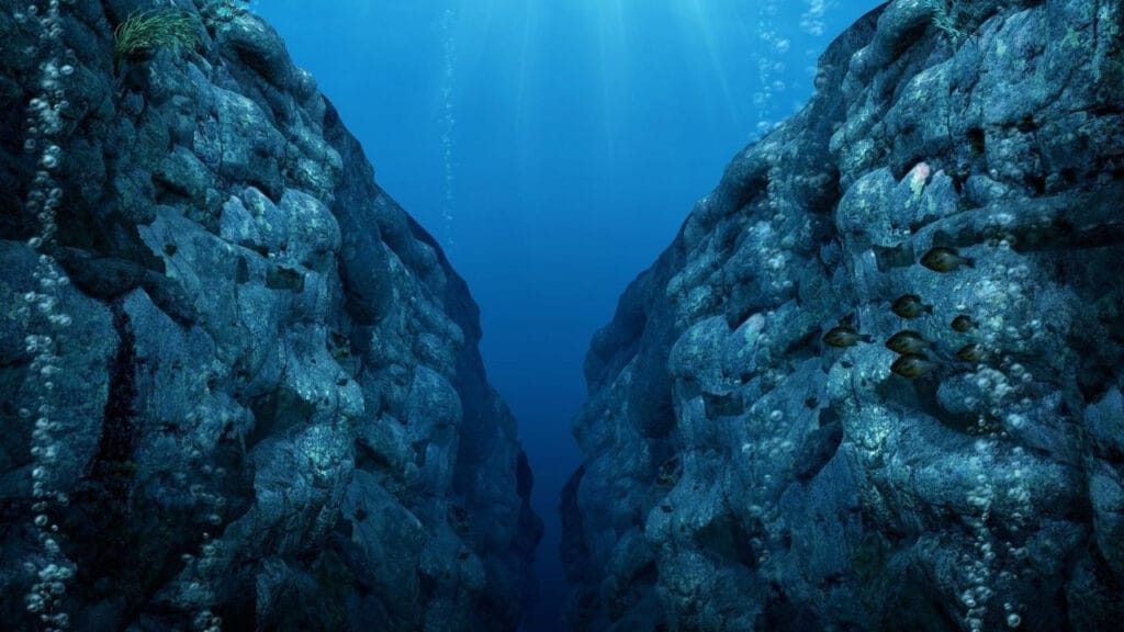 SWOT uydusu, derin okyanusta 100 bin yeni dağ keşfetti! – Birlik Haber Ajansı