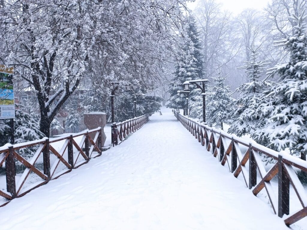 Ordu’da karla mücadele ekipleri sahada – Birlik Haber Ajansı