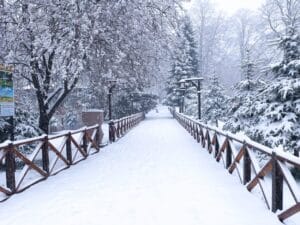 Ordu’da karla mücadele ekipleri sahada – Birlik Haber Ajansı