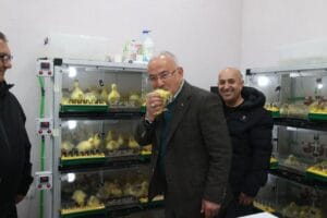 Ordu’da kaz yetiştiriciliği artıyor – Birlik Haber Ajansı