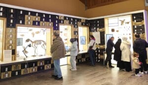 Konya’nın müzeleri bayramda da gözde oldu – Birlik Haber Ajansı