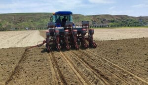 Batman tarımına yer fıstığı ekleniyor – Birlik Haber Ajansı