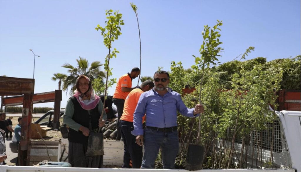 Mersinli çiftçiler Trabzon hurması üretecek – Birlik Haber Ajansı