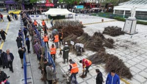 Isparta Belediyesi fidan dağıtımına devam ediyor – Birlik Haber Ajansı