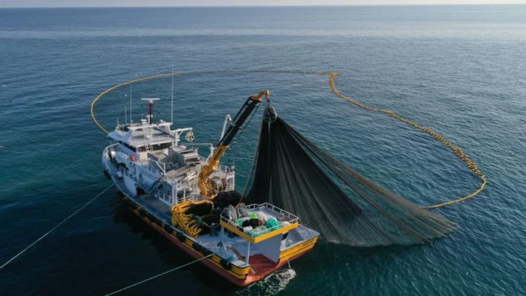 Su ürünleri avcılığında yeni dönem: Kurallar güncellendi – Birlik Haber Ajansı