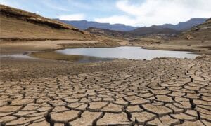 Tatlı sularda sessiz çöküş: Oksijen tükeniyor – Birlik Haber Ajansı
