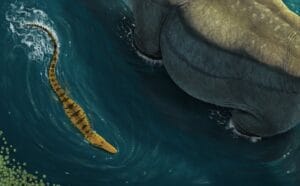 Dinozor avcısı timsah Deinosuchus’un gizemi çözüldü – Birlik Haber Ajansı