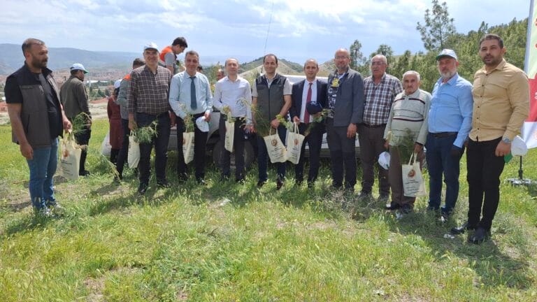 Beypazarı’nda “Orman Benim” etkinliğiyle doğaya sahip çıkıldı – Birlik Haber Ajansı