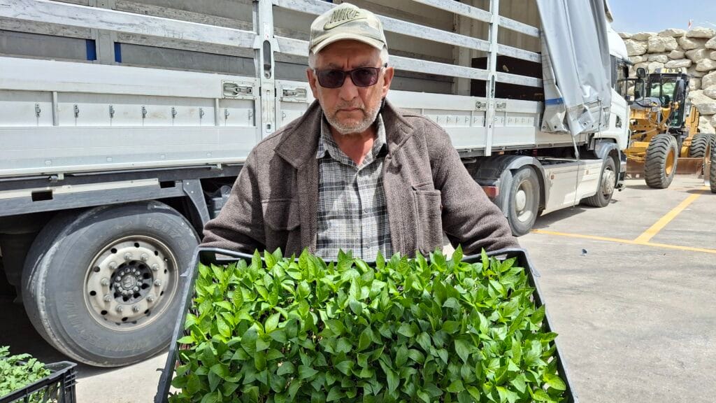 Ankara Büyükşehir Belediyesi’nden çiftçiye fide desteği – Birlik Haber Ajansı