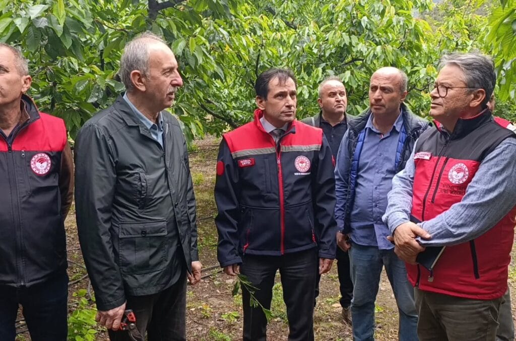 Tarım uzmanları Amasya’da don hasarını yerinde inceledi – Birlik Haber Ajansı