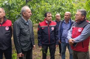 Tarım uzmanları Amasya’da don hasarını yerinde inceledi – Birlik Haber Ajansı