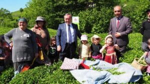 ÇAYKUR geleneği sürdürdü, minikler çay hasadında makas salladı – Birlik Haber Ajansı