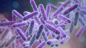 Mikroskobik mucize: Oregon’da elektrik ileten bakteri keşfedildi – Birlik Haber Ajansı