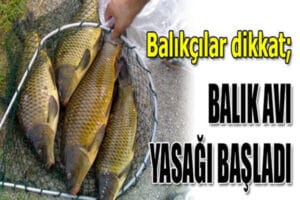Kars’ta su ürünleri av yasağı başladı – Birlik Haber Ajansı