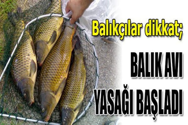 Kars’ta su ürünleri av yasağı başladı – Birlik Haber Ajansı