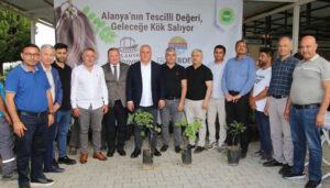 ALTSO keçiboynuzunun tescilini aldı, 3 bin fidan dağıttı – Birlik Haber Ajansı