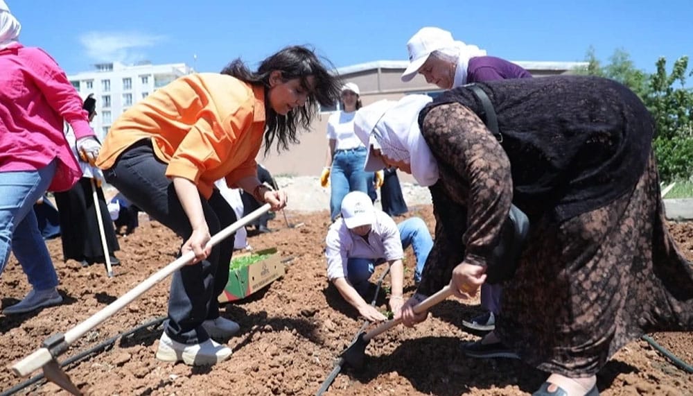 ‘Kent Kadın Bostanları’ projesi Mardin Artuklu’da hayata geçti – Birlik Haber Ajansı