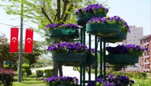 Eskişehir’de refüjler çiçeklerle renklendi – Birlik Haber Ajansı