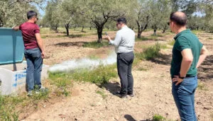 Manisa’da 2 bin 500 dekar arazi Öveçli ile suya kavuşacak – Birlik Haber Ajansı