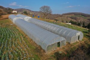 Kocaeli Büyükşehir’den yüzde 50 hibeli sera desteği – Birlik Haber Ajansı