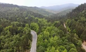 Çanakkale’de ormanlık alanlara girişler 1 Haziran’dan itibaren yasaklandı – Birlik Haber Ajansı