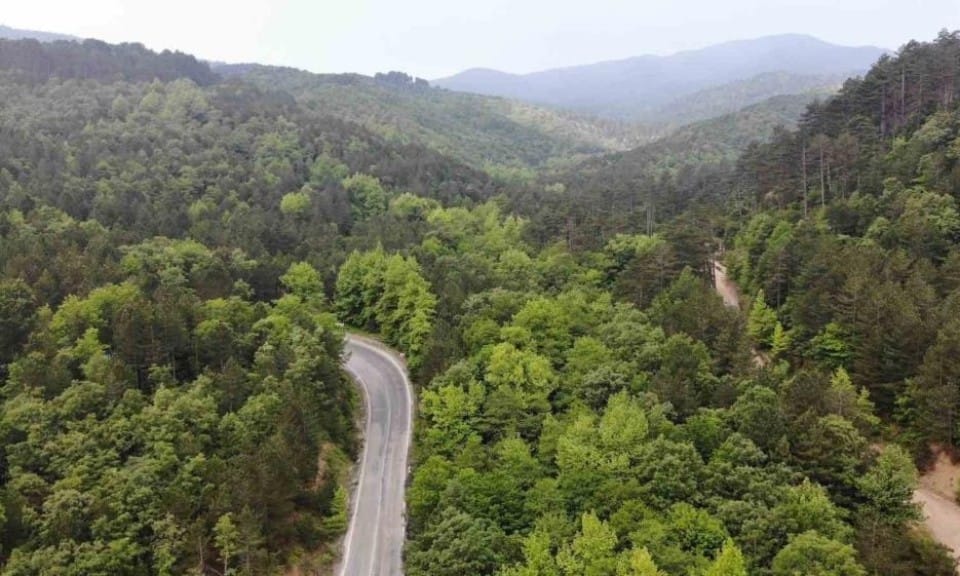 Çanakkale’de ormanlık alanlara girişler 1 Haziran’dan itibaren yasaklandı – Birlik Haber Ajansı