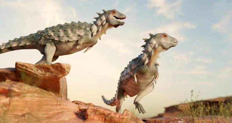 Dinozor fosilleri, kanser araştırmalarında yeni bir dönem başlatabilir – Birlik Haber Ajansı