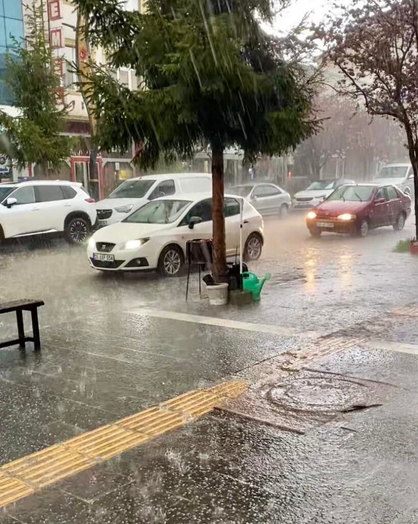 Kars’ta sağanak yağış ve dolu ekili alanlara zarar verdi – Birlik Haber Ajansı
