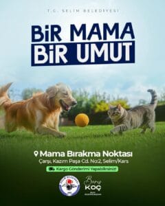 Selim Belediyesi’nden sokak hayvanlarına destek: “1 Mama 1 Umut” – Birlik Haber Ajansı