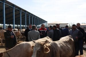 Kurban Bayramı öncesi Selim Hayvan Pazarı’nda denetim – Birlik Haber Ajansı
