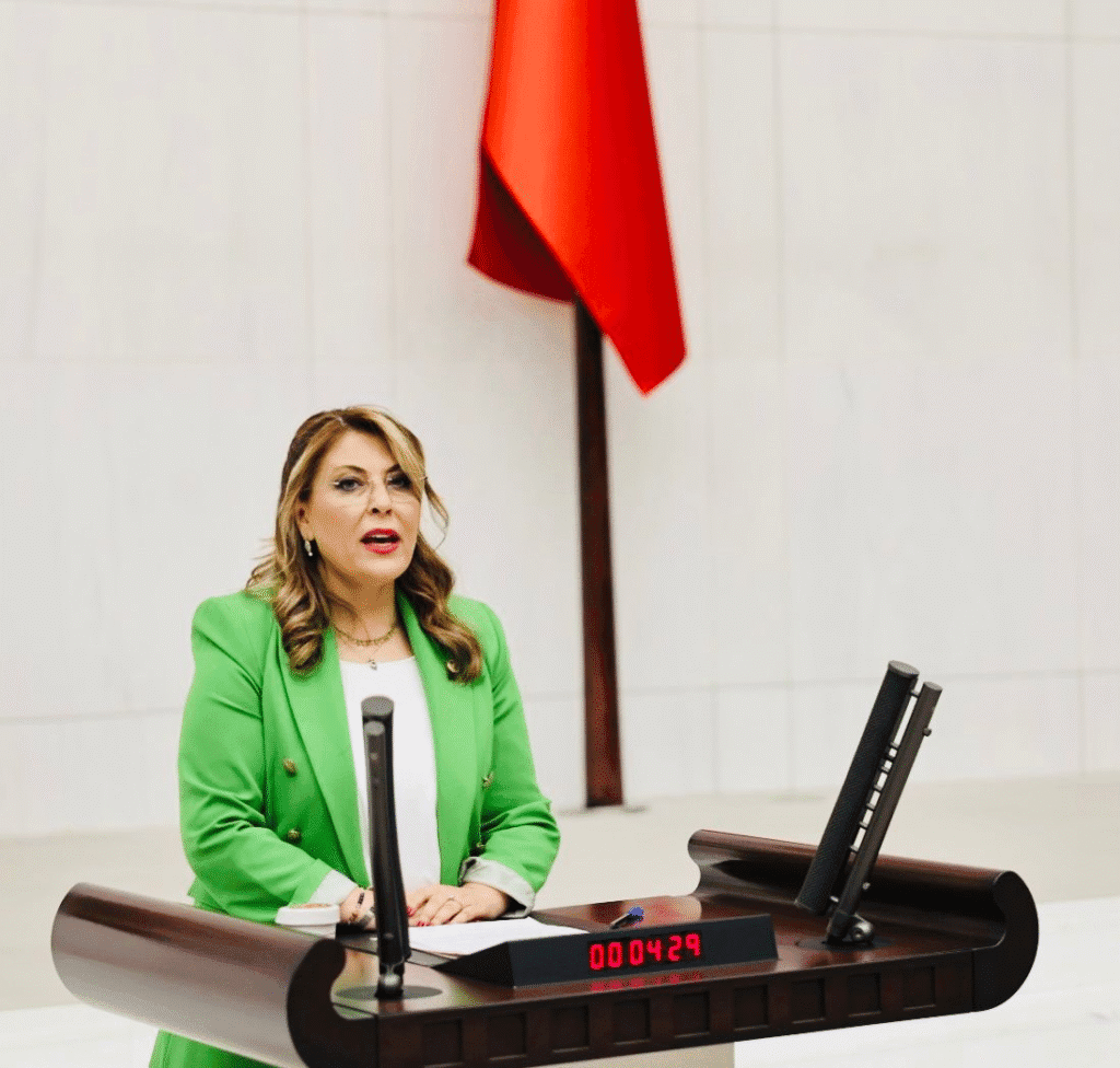 Elvan Işık Gezmiş; İktidar Giresun’un sorunlarına ilgisiz – Birlik Haber Ajansı